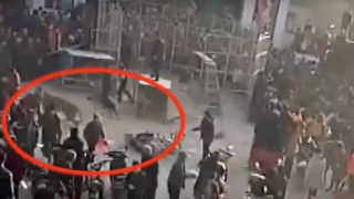 Shocking video: Tiger Breaks Circus Cage, Injures Two Children Shocking video: Tiger Breaks Circus Cage, Injures Two Children