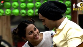 Bigg Boss 11 December 27 2017 LIVE Update: Akash Dadlani Calls Vikas Gupta ‘Gadha’ Bigg Boss 11 December 27 2017 LIVE Update: Akash Dadlani Calls Vikas Gupta ‘Gadha’