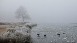 Britain to be Hit by Mini Ice Age by 2030, Predict Scientists