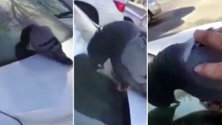 Pigeon Termed as Symbol of New Year's Eve Hangover by Social Media Users (Video) Pigeon Termed as Symbol of New Year's Eve Hangover by Social Media Users (Video)