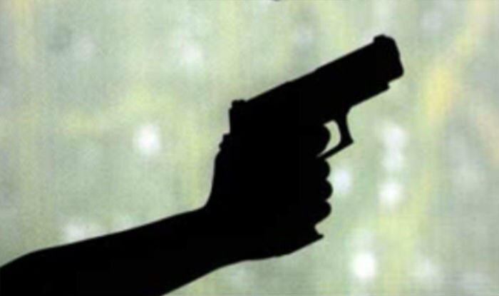 8-year-old girl dies in celebratory firing in Madhya Pradesh.