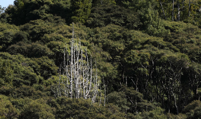 Getty Images/For representational purpose only