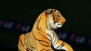 Toy Tiger Leads to One Hour Standoff With Scottish Police on a Farm Toy Tiger Leads to One Hour Standoff With Scottish Police on a Farm