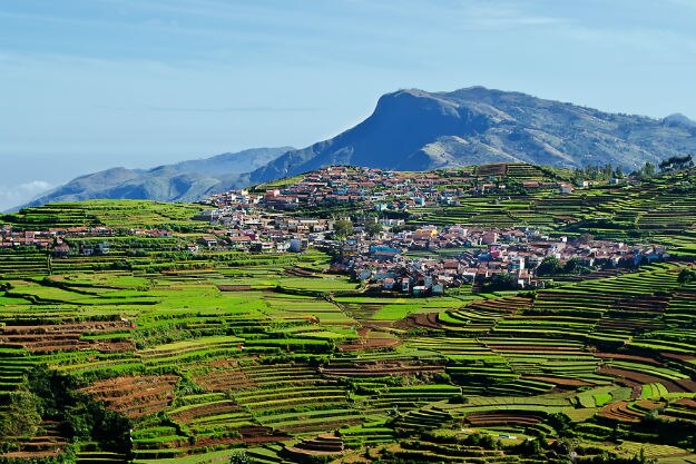 Photograph courtesy: Wikimedia Commons