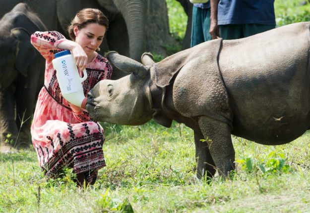 Kaziranga-National-Park