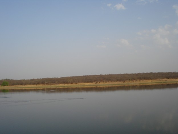 Madhav_National_Park1