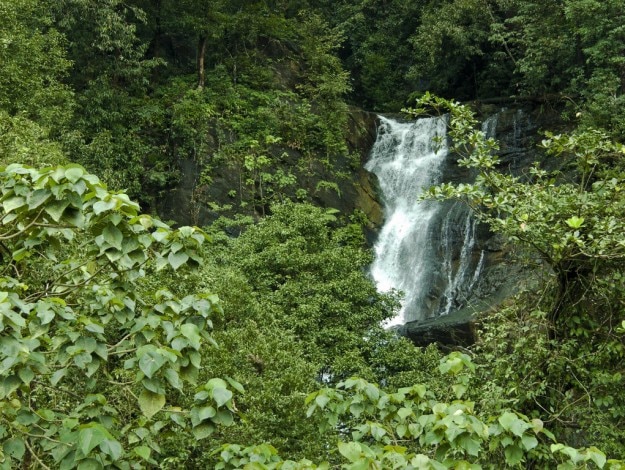 kadambi falls