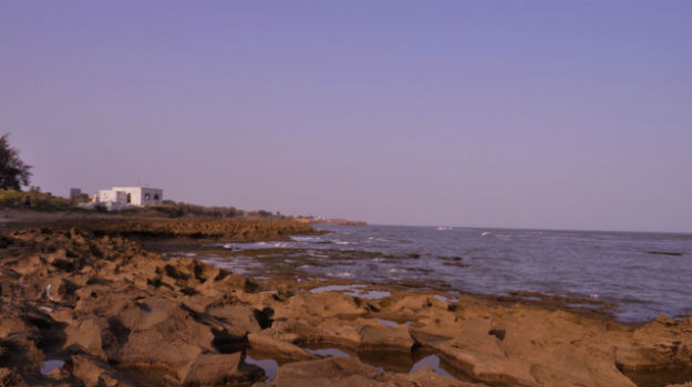 Photograph courtesy: Inoxia Fotografia/Creative Commons