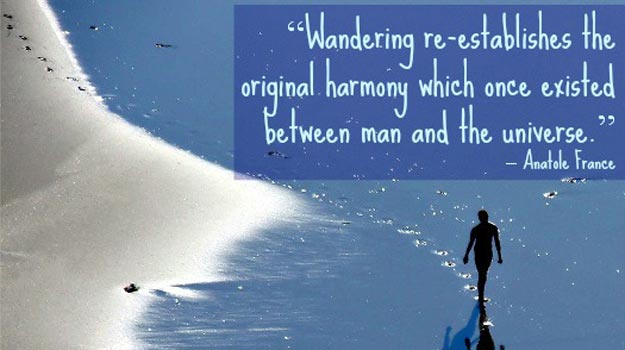 Wandering-re-establishes