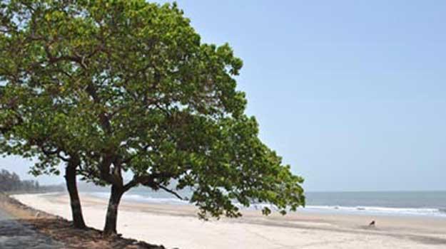 Aaravi-beach