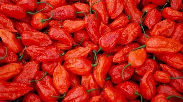 8 Indian chillies you must know about! | India.com