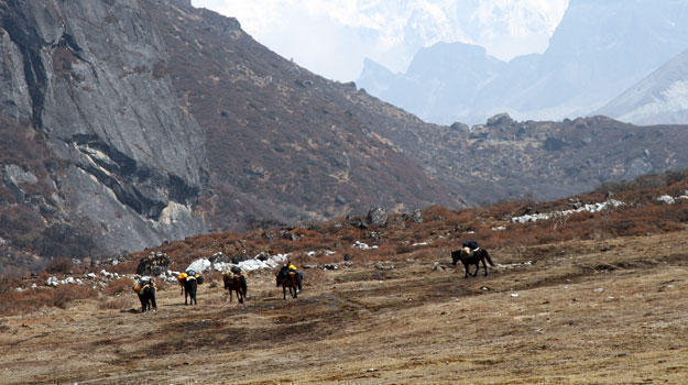 Sikkim-GoechaLa