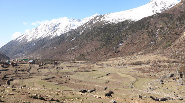 Sikkim_ChoptaValley-(3)