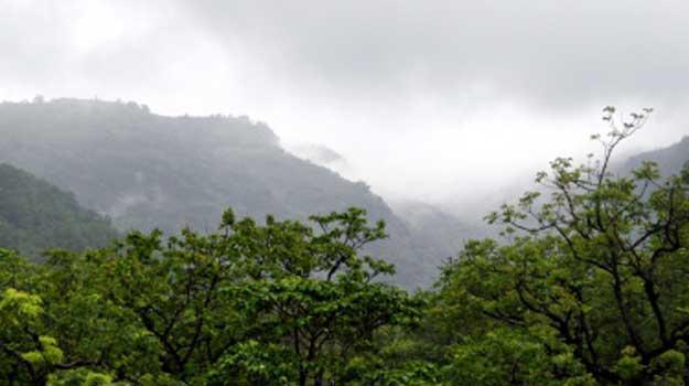 Toranmal