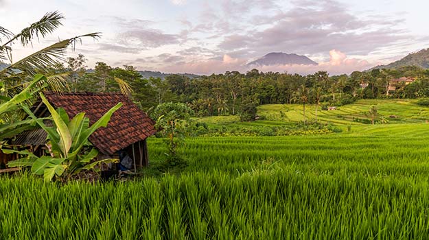 28-Indonesia-Bali-shutterstock_366608276