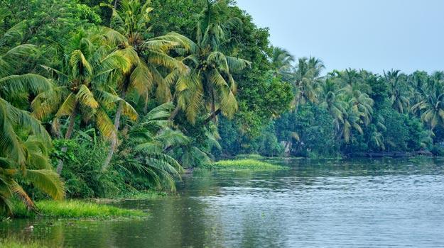 A pictorial tour of Kochi which encapsulates its natural beauty ...