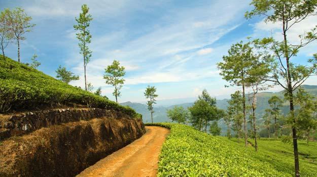 bike-Darjeeling