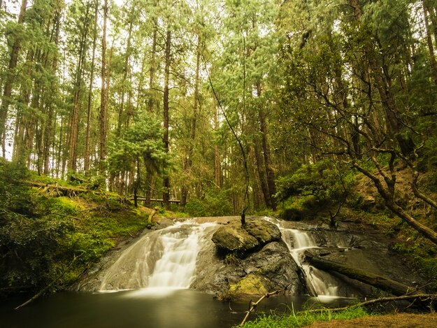 kodaikanal