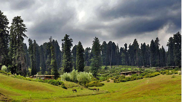 Yusmarg3 dne