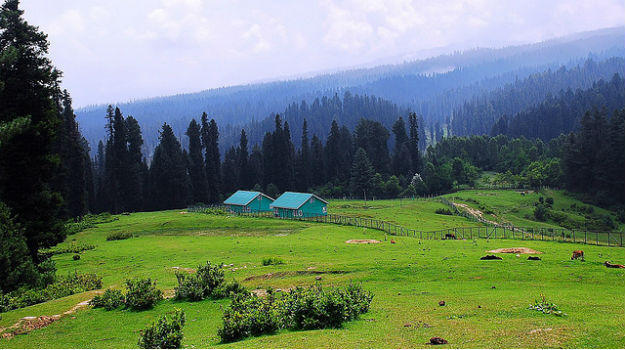 Yousmarg: An unexplored hilly heaven near Srinagar which you should ...