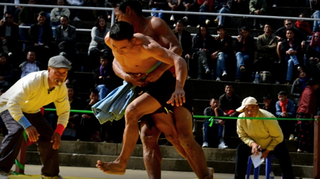 Hornbill Festival