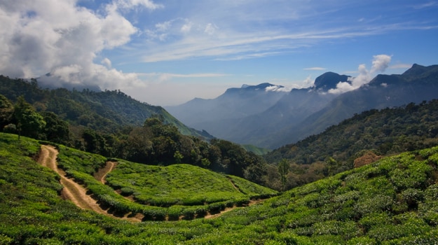 International Tea Day 2015: 5 tea estates in India where you can wake ...