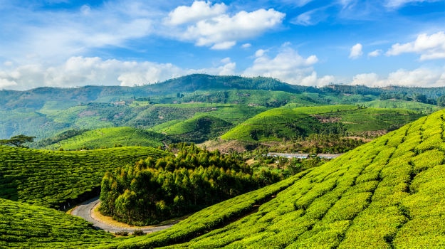 Honeymoon packages in India: Top 5 places to visit in Kerala | India.com