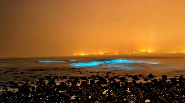 20travel-bioluminescence-juhu-beach-mumbai