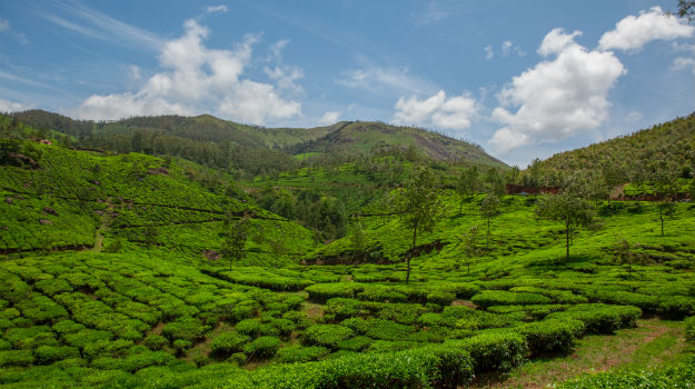 5 Reasons to Visit Darjeeling in September 2018 | India.com