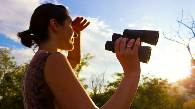 5travel-bird watching