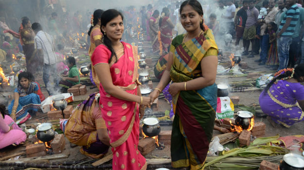 pongal 5
