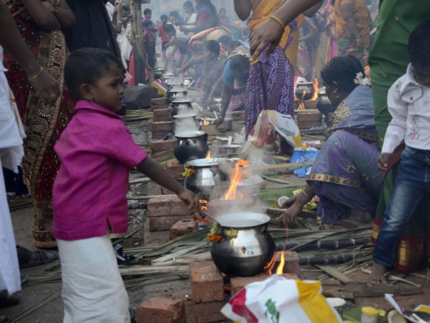 Pongal celebrations