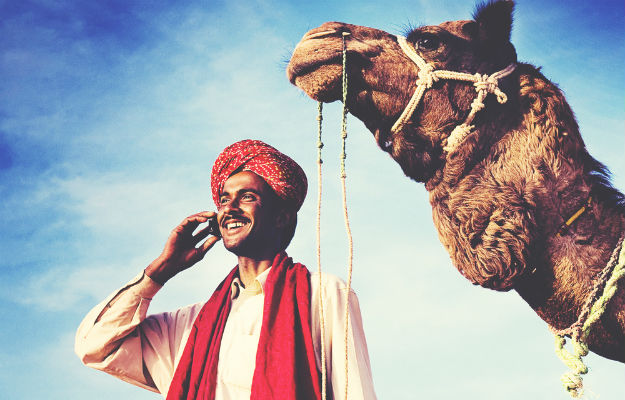 Photograph: Shutterstock