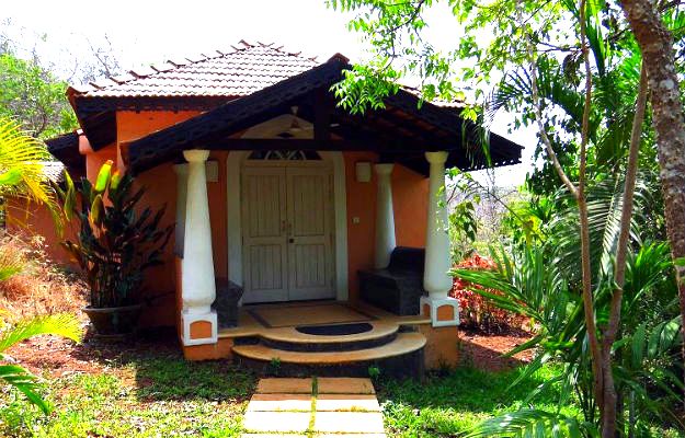 18-travel-goa-the-wild-flower-1