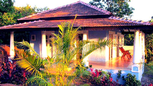 18-travel-goa-the-wild-flower