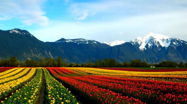 Cheam Mountain, Canada