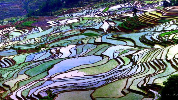 Yuanyuang terraces, China