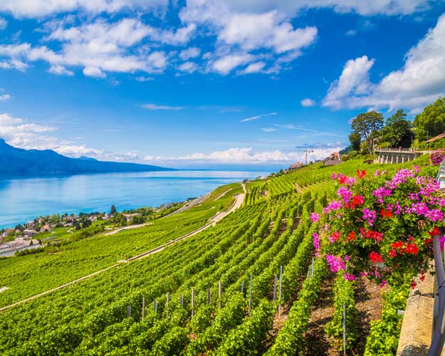 21Switrzerland-Lavaux-wine-region