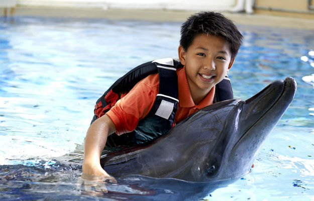 22-ocean-theme-park-hong-kong-1
