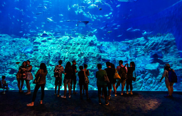 22-ocean-theme-park-hong-kong-5
