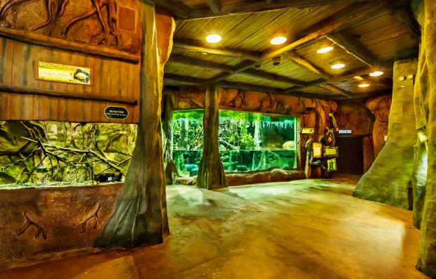 22-ocean-theme-park-hong-kong-7