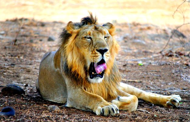 22-travel-gujarat-3