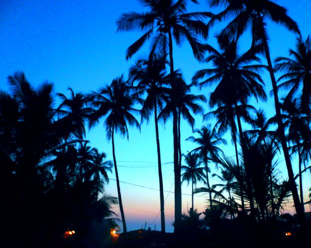 Travel Articles | Travel Blogs | Travel News & Information | Travel Guide |   in Goa? Here Are Some Places to See, Things to do While  There