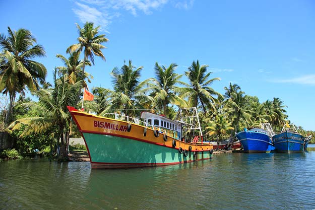 5Kerala-offbeat-Ashtamudi-lake-shutterstock_278384510
