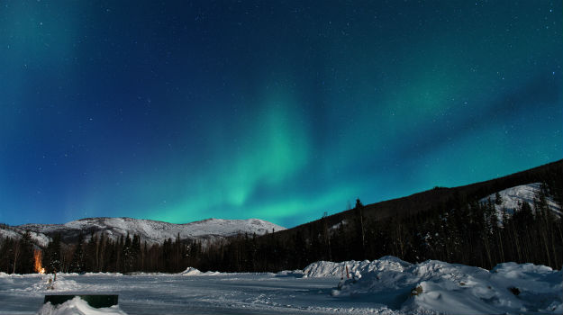 Photograph: Shutterstock