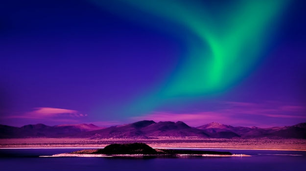 Photograph: Shutterstock