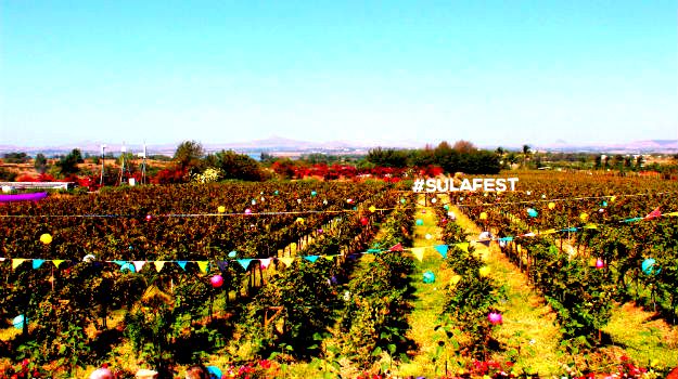 SulaFest