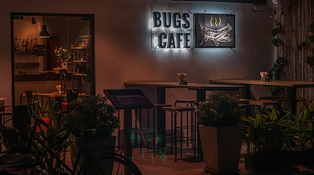 bugs cafe cambodia