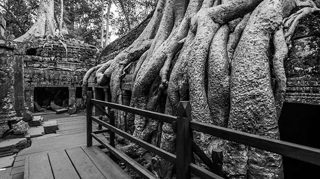 Ta Prohm cambodia