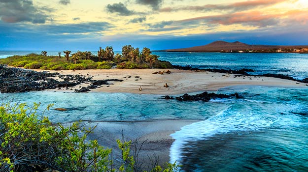 Galapagos